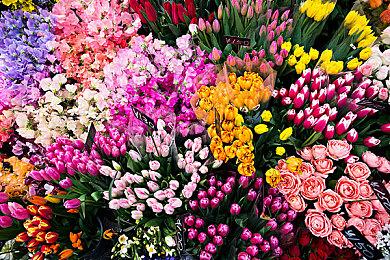 《蕾斯莱莉娅娜的炼金工房》游戏系统介绍影片公开